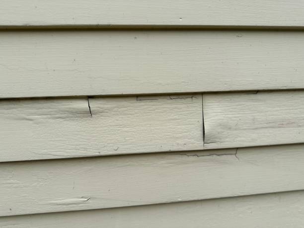 Affordable Siding Repair and Maintenance Services in Sheridan, CA